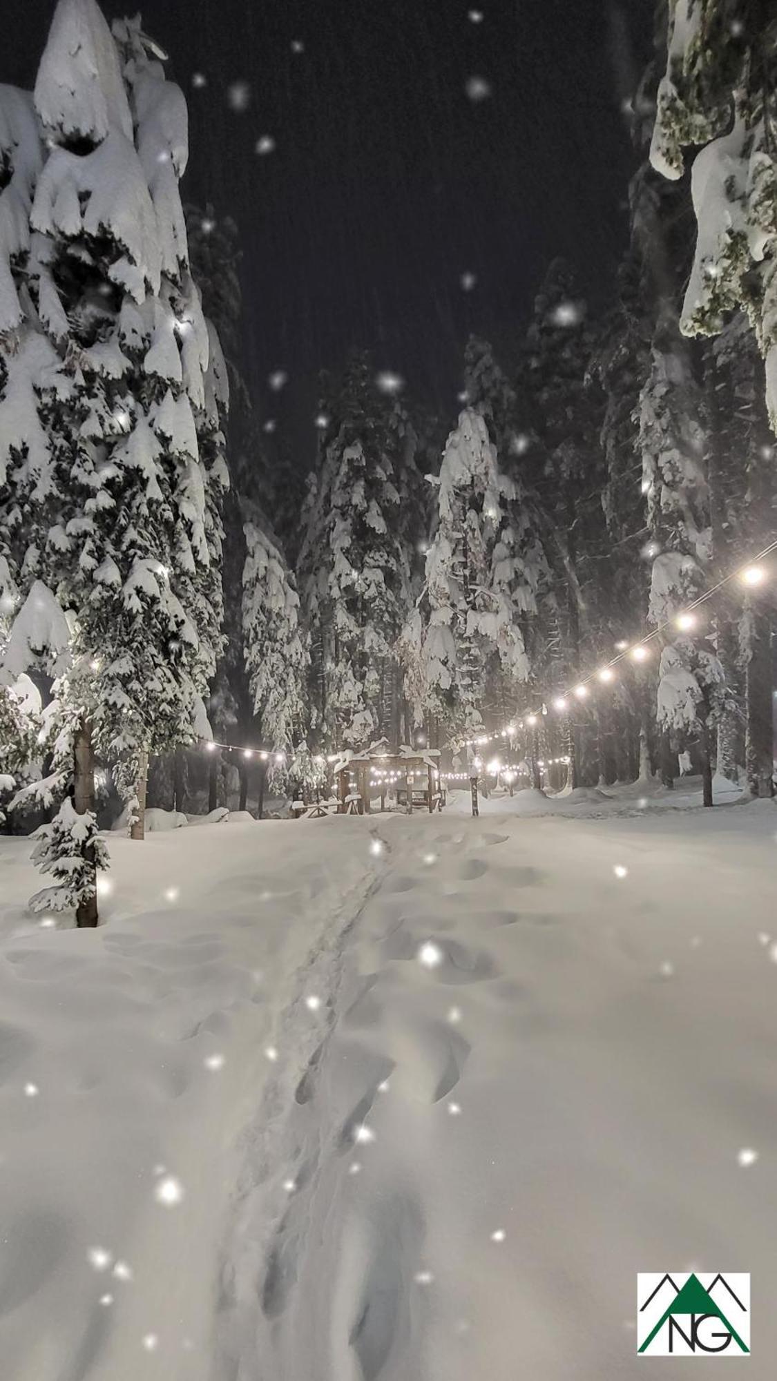 Pinewood Ang Luxurious Apartment A32 Borovets Esterno foto